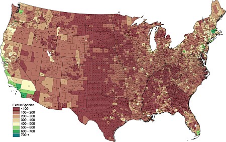 County_Exotic.png County_Exotic.png